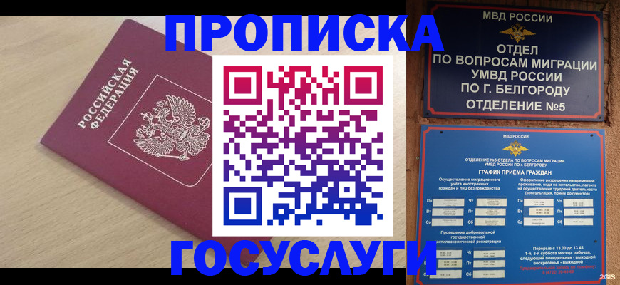 прописка законно в Шахунье